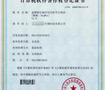 軟件著作權(quán)申請全攻略 自主辦理與專業(yè)代理詳解